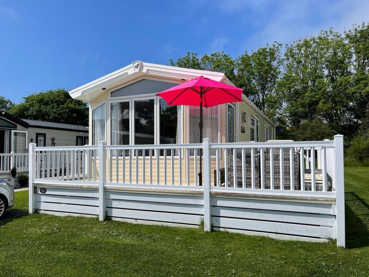 11 Porth Valley Retreat Villa New Quay Dış mekan fotoğraf