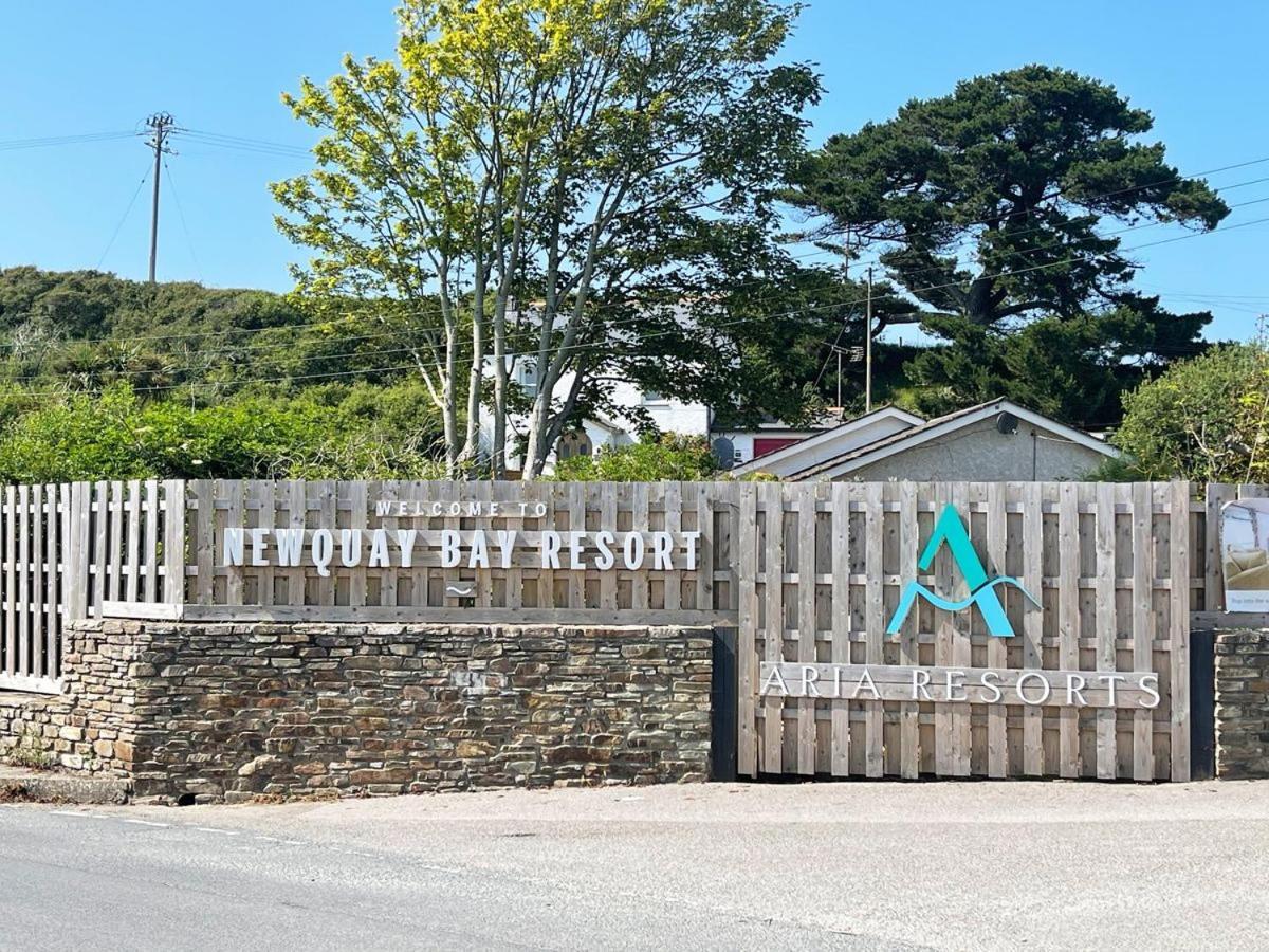 11 Porth Valley Retreat Villa New Quay Dış mekan fotoğraf